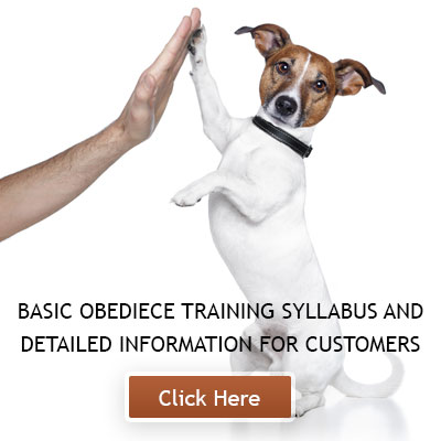 BASIC OBEDIENCE TRAINING SYLLABUS AND DETAILED INFORMATION FOR CUSTOMERS